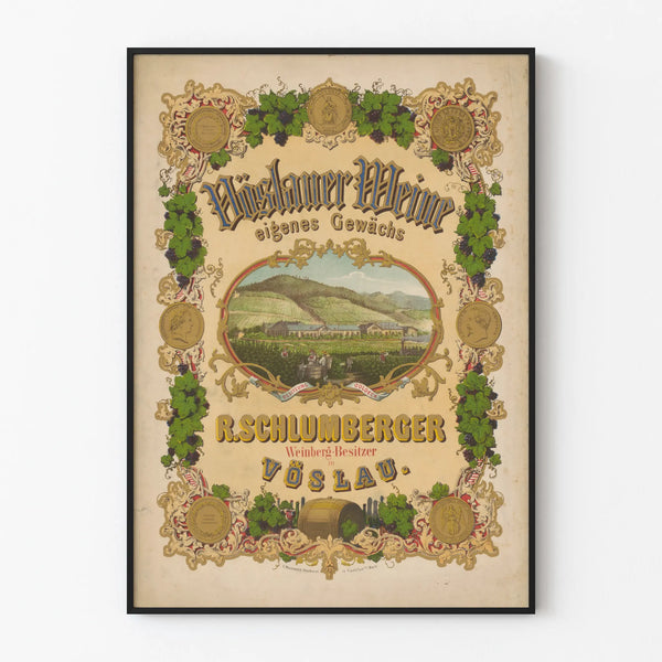 voslauer-weine-r-schlumberger-weinberg-besitzer-in-voslau