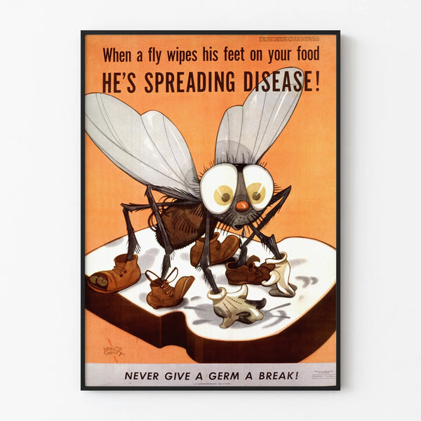 when-a-fly-wipes-his-feet-on-your-food-hes-spreading-disease