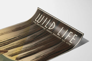 wild-life-the-national-parks-preserve-all-life-2