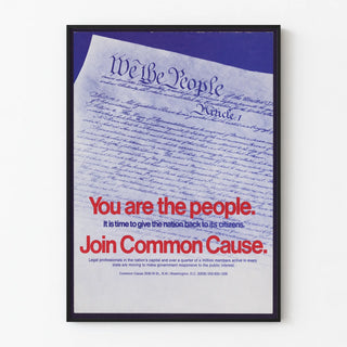 you-are-the-people-it-is-time-to-give-the-nation-back-to-its-citizens-join-common-cause