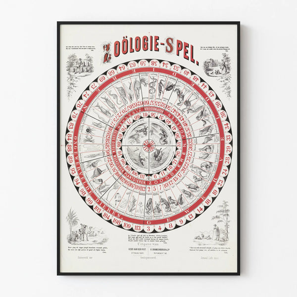 zoologie-spel